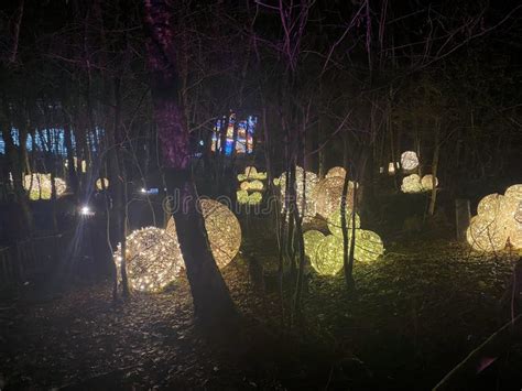 The Hidden Wonders of Blakemere Village's Enchanted Forest